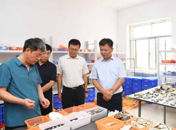 临汾市委副书记、市长王延峰在霍州市调研