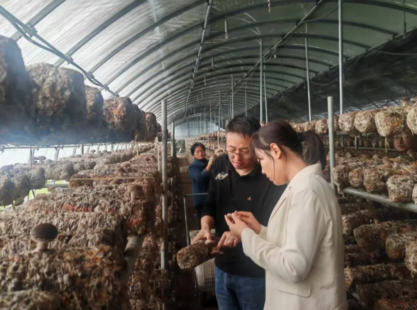 吕梁市民营经济服务中心肖盼副主任在交口县进行实地调研