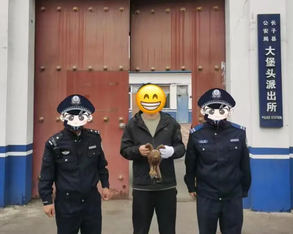 长治：受伤的“小精灵”，遇见最暖的守护！