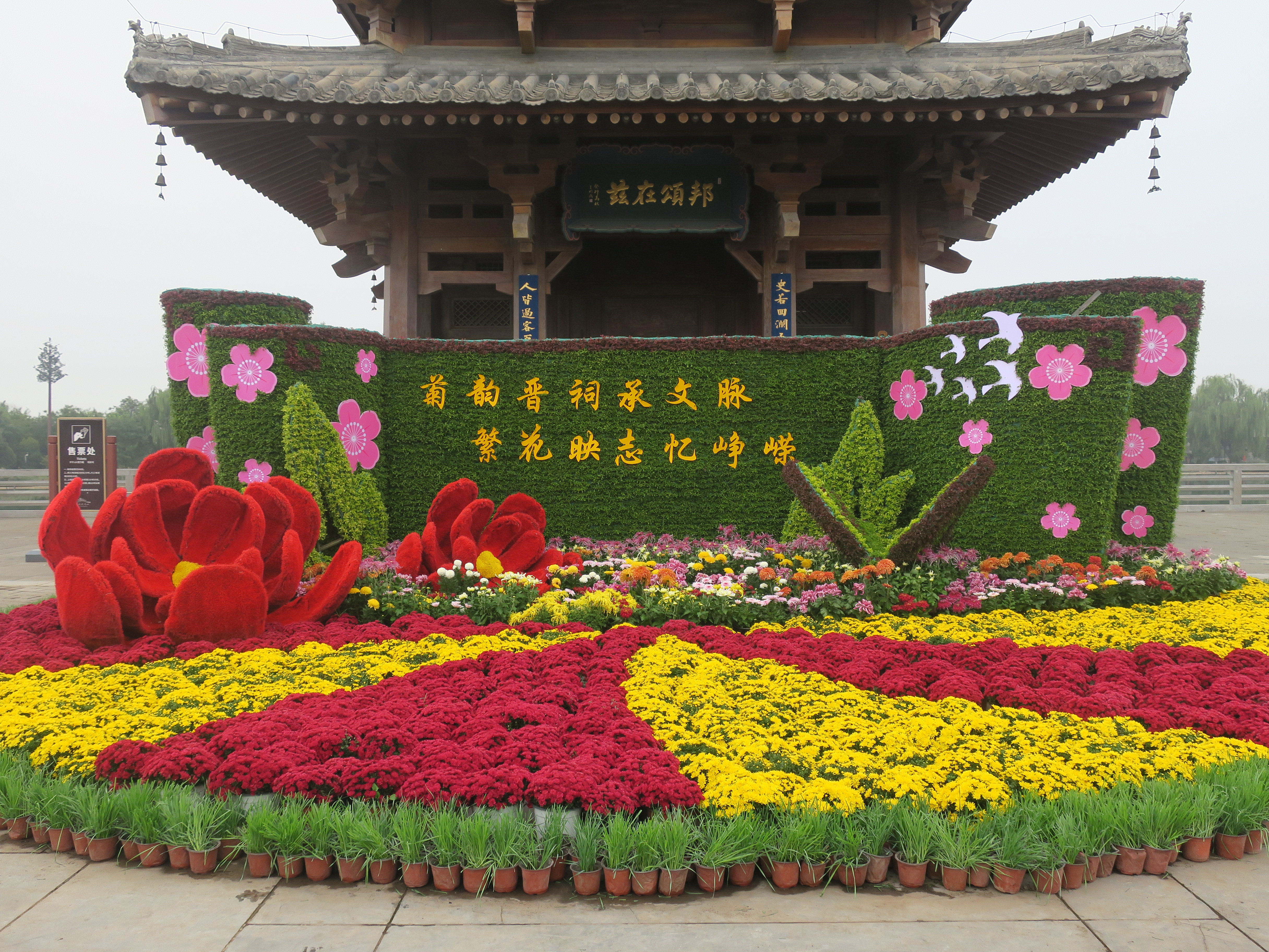 菊韵晋祠承文脉，繁花映志忆峥嵘——第二十二届晋祠菊花文化展盛大启幕