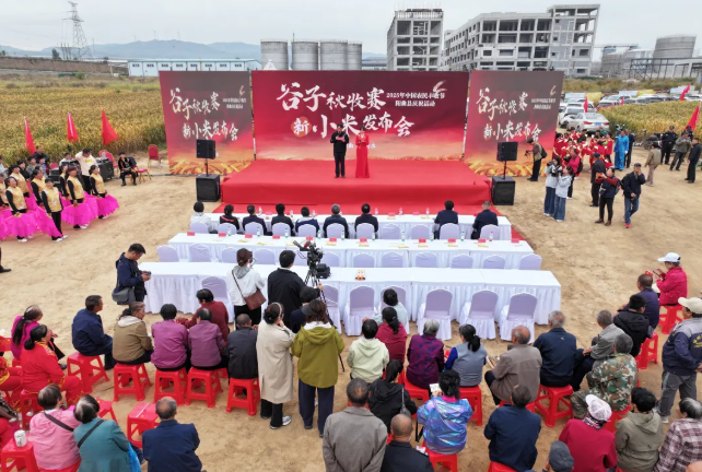 2025年中国农民丰收节阳曲县庆祝活动第二届东黄水谷子秋收赛暨新小米发布会举办