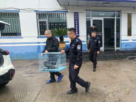 巡逻途中遇“困”鱼鹰！太原娄烦县杜交曲派出所民辅警暖心救助护生灵