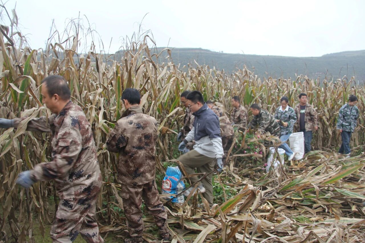 微信图片_2025-10-09_215549_630.jpg 微信图片_2025-10-09_215549_630.jpg