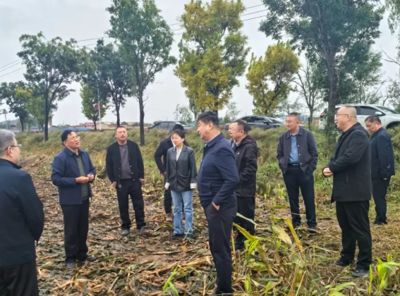 吕梁汾阳：战雨抢收保丰收  技术指南护秋播