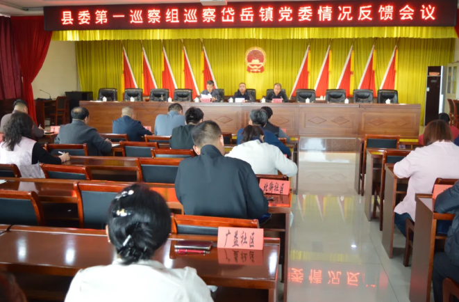 朔州山阴县委第一巡察组巡察岱岳镇党委及所辖村（社）党组织反馈会议召开