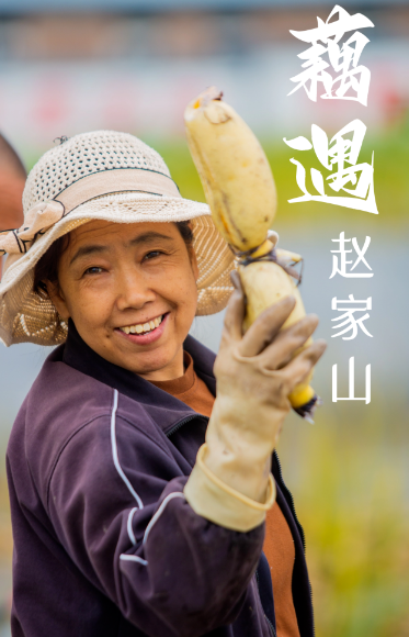 节节饱满、口口清甜，太原人的秋日“白月光”原来是它！