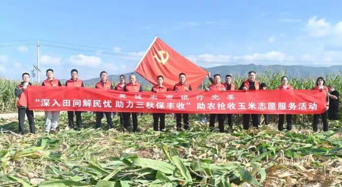 临汾翼城农商银行助力秋收攻坚抢“丰”景
