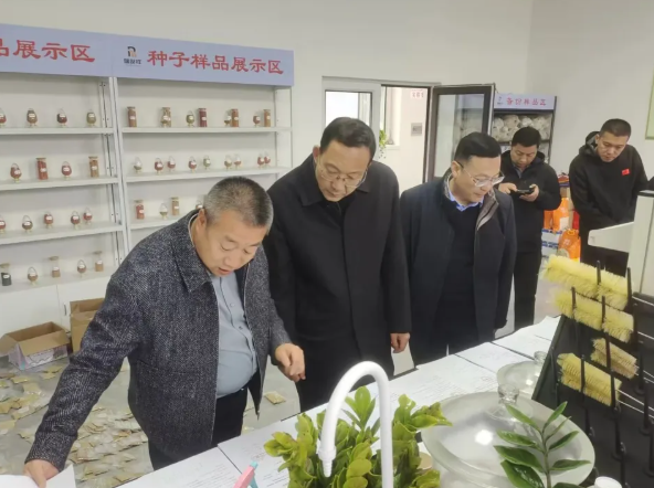 忻州静乐：居清平调研秋粮稳产增收工作