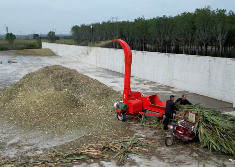 临汾侯马  曲沃：抢收抢烘“双线”忙  颗粒归仓护秋粮