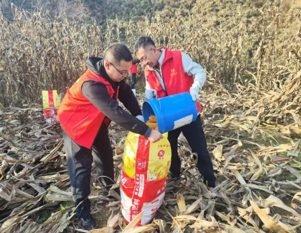 wechat_2025-10-22_133846_010.png wechat_2025-10-22_133846_010.png