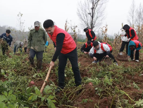 检察初心践使命  助农秋收暖民心——太原娄烦县人民检察院深入静游镇岩头村开展“主