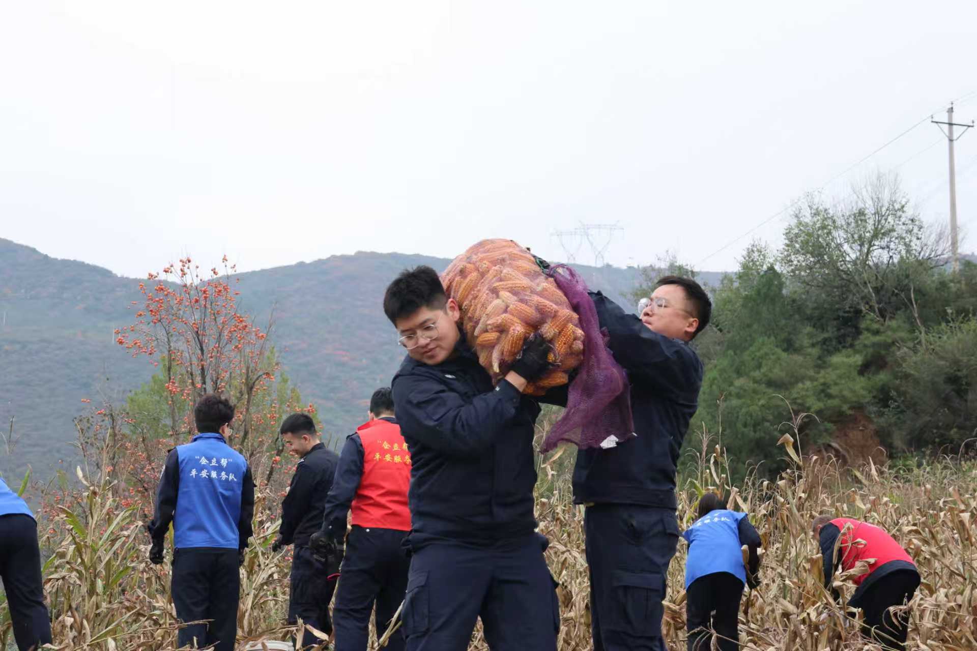 晋城沁水县公安局端氏派出所：“一支特殊的抢收队”，帮失独老人秋收