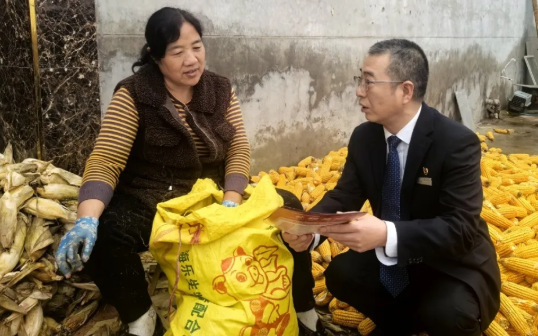 临汾尧都农商银行：金融守护秋收路，筑牢“暖心堤坝”