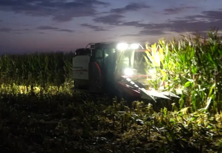 临汾蒲县  霍州  吉县：昼夜抢收稳粮仓