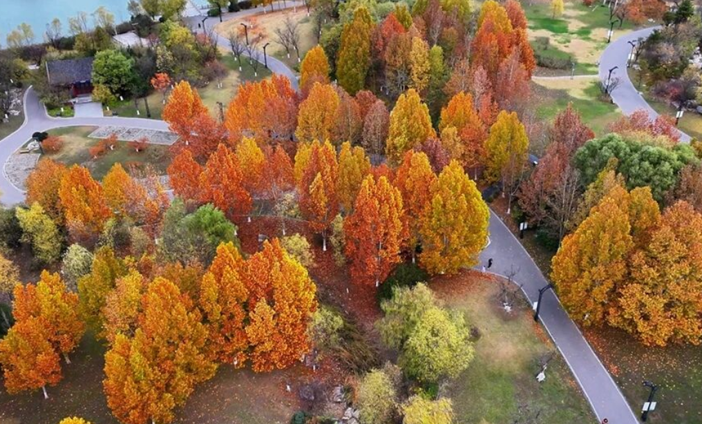 啊秋！被临汾的“美拉德”色彩惊艳到了