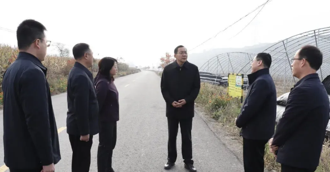 忻州静乐县县长居清平在王村镇调研设施农业发展
