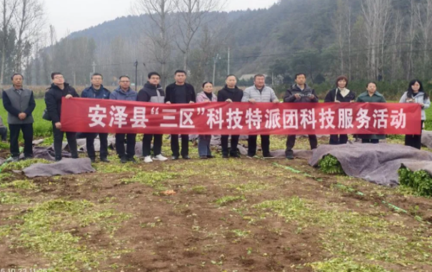 临汾市农业农村局科技特派员赴安泽县参加“三区”科技人才服务对接会