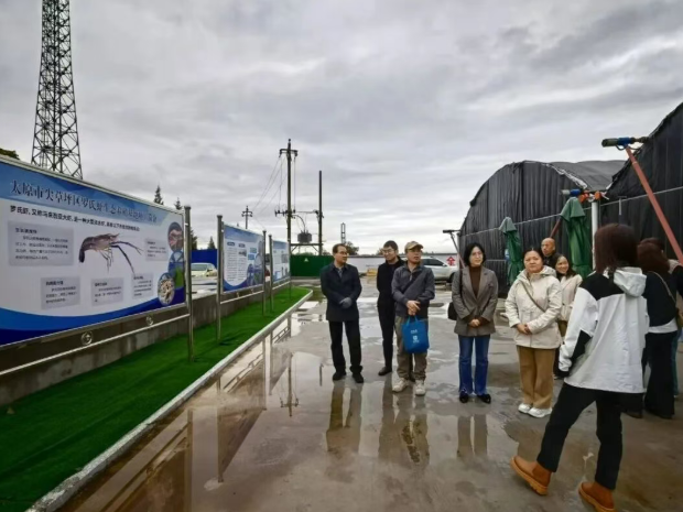 民建太原市尖草坪区支部为乡村振兴调研献策