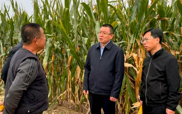 临汾曲沃：孙惠生检查秸秆禁烧工作