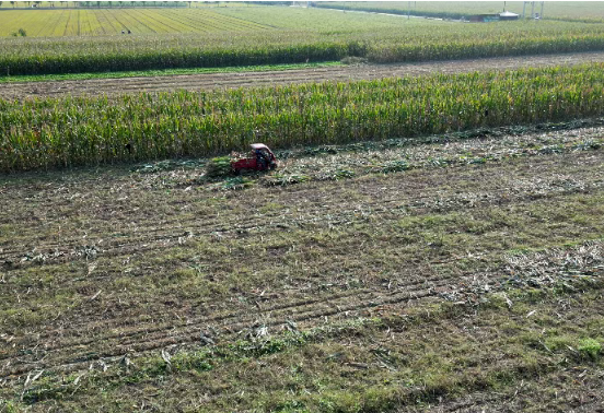 临汾曲沃：秸秆回收  变废为宝