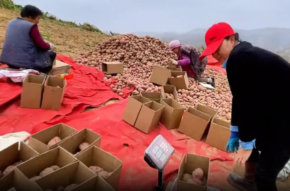 wechat_2025-10-31_130235_893.png wechat_2025-10-31_130235_893.png