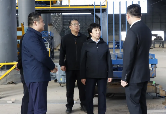 忻州宁武县委书记赵亚峰在阳方口镇调研