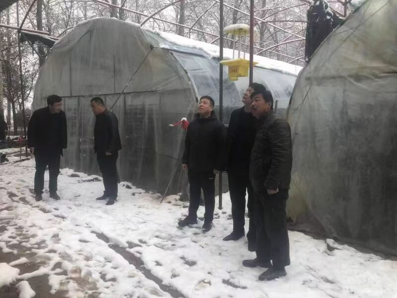 图片8.png 图片8.png