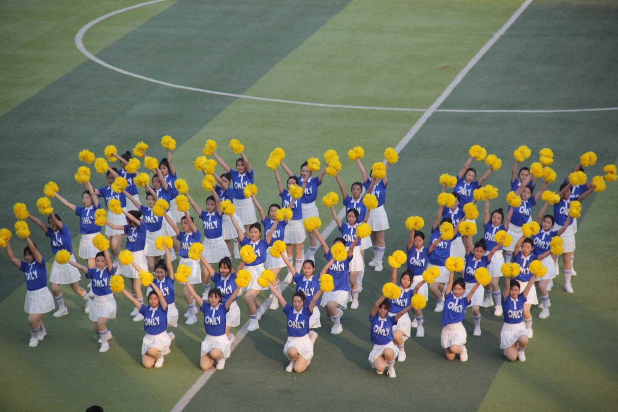 图片19.png 图片19.png