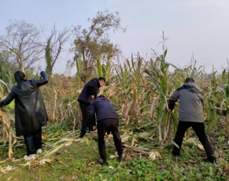 吕梁汾阳市工商联深入上池家庄村开展“双抢一保”和地质灾害排查志愿服务