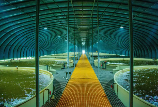 鱼跃虾肥，蟹满稻香！太原尖草坪的秋天，“鲜”到犯规啦