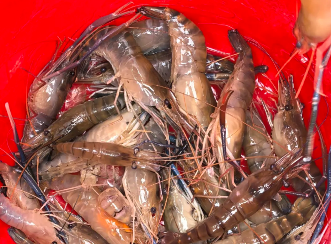 wechat_2025-11-05_130634_294.png wechat_2025-11-05_130634_294.png