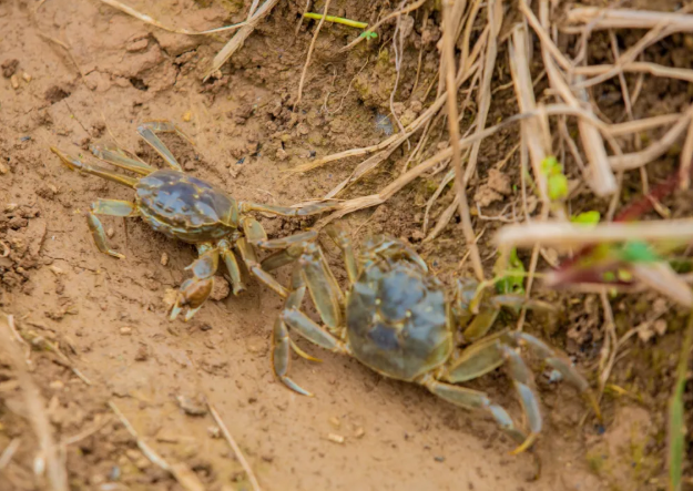 wechat_2025-11-05_130728_095.png wechat_2025-11-05_130728_095.png