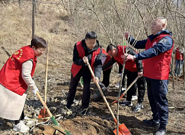 吕梁孝义市新义街道府中社区：汇聚志愿力量，共建美好家园