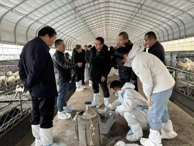 ScreenShot_2025-11-11_173905_529.png ScreenShot_2025-11-11_173905_529.png