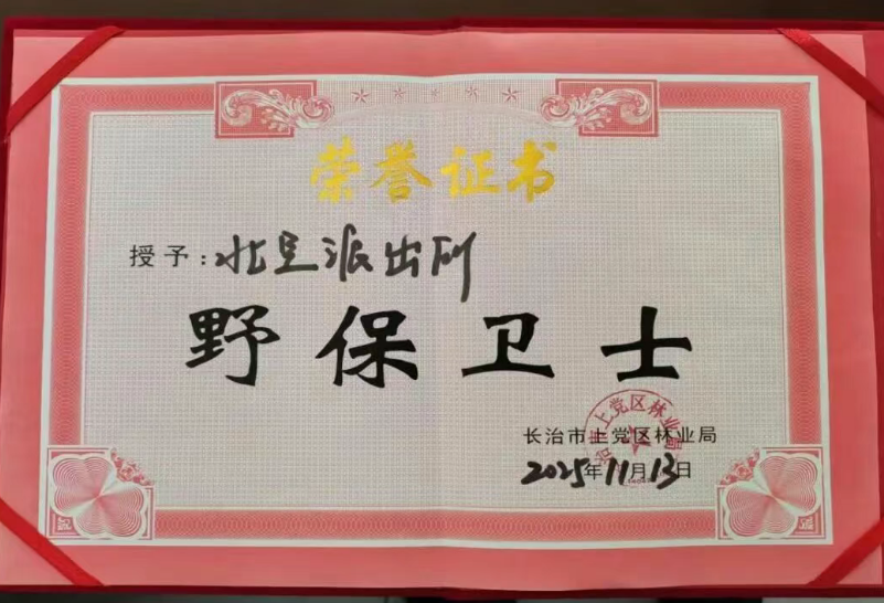 苇丛救援：长治警民守护“空中精灵”