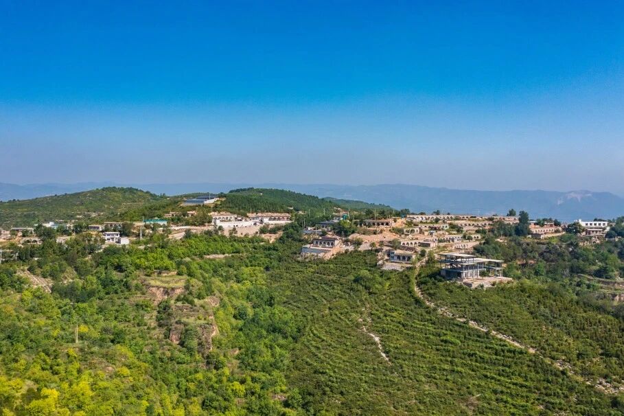 云上横岭：触手可及的除了天空，还有……