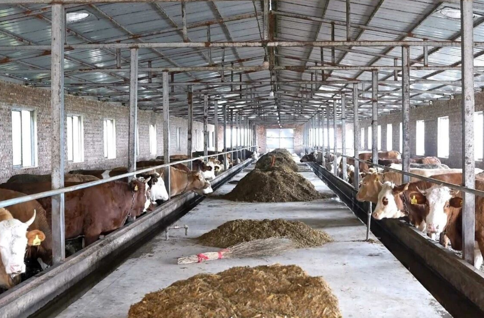 临汾蒲县西坪垣村，产业旺、乡村兴！