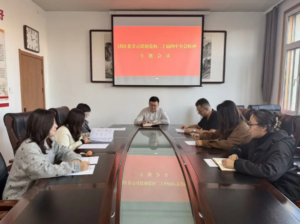 朔州朔城区团区委召开专题会议传达学习党的二十届四中全会精神