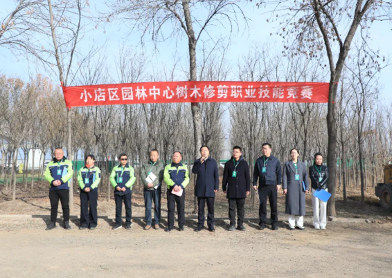 太原小店区园林绿化服务中心举办树木修剪职业技能竞赛