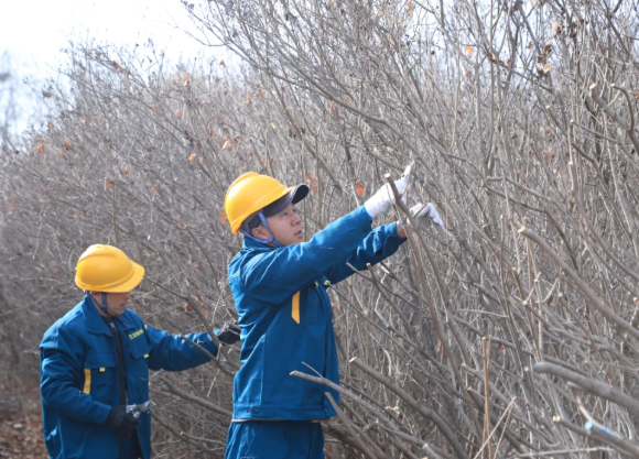 ScreenShot_2025-11-27_112016_078.png ScreenShot_2025-11-27_112016_078.png