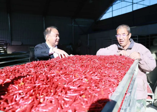 临汾浮山农商银行北王支行：助力辣椒产业链延伸壮大