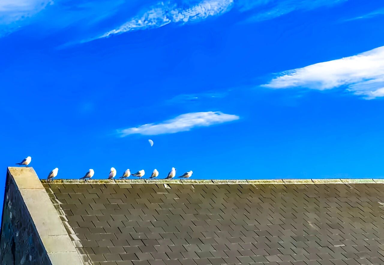 微信图片_2025-12-06_110358_666.jpg 微信图片_2025-12-06_110358_666.jpg