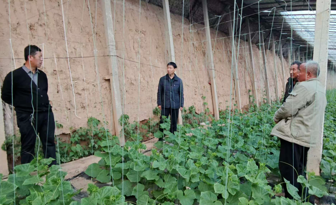 临汾翼城县农业农村局深入园区把脉问诊开展技术服务工作
