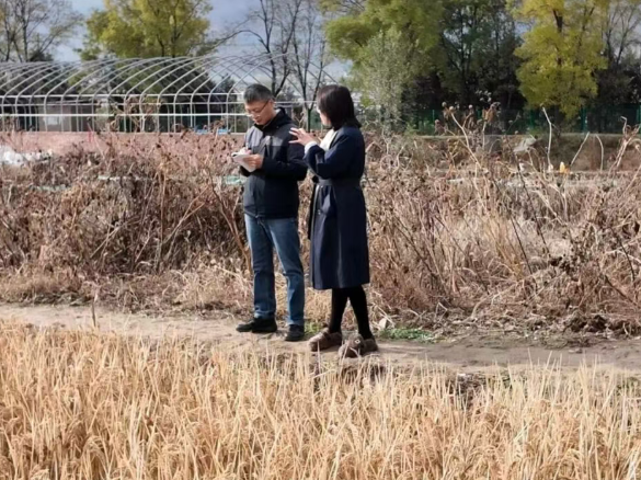 太原尖草坪区呼延村“稻蟹混养”背后的“80后”新农人