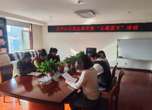 以奋斗之姿，赴时代征程——太原市政集团辰宇公司团支部开展主题团日活动