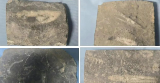 热心市民向吕梁市博物馆捐赠七件文物