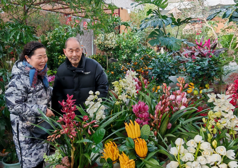 太原晋源区：花香迎热销  多彩花市忙