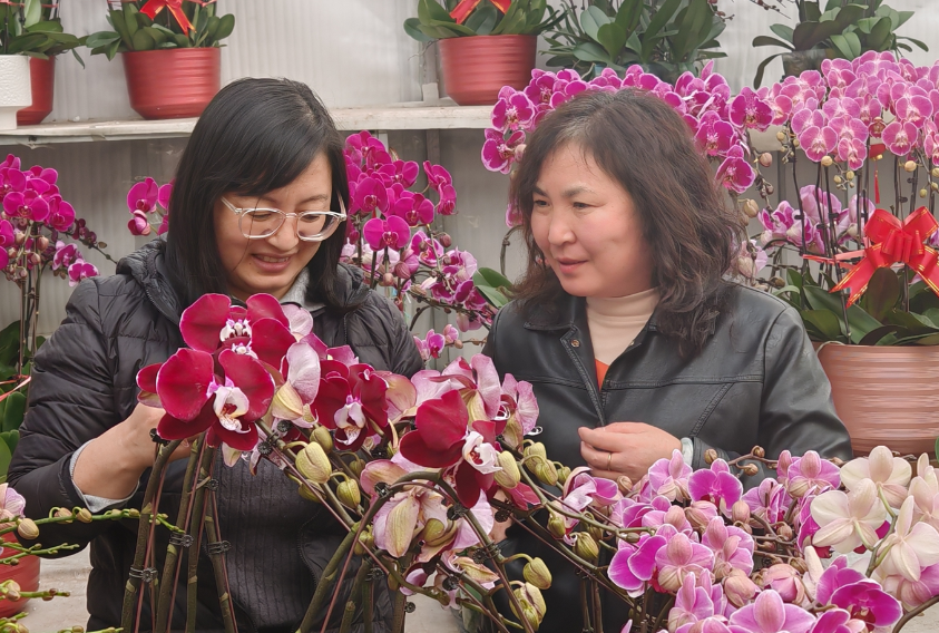 ScreenShot_2025-12-26_193554_500.png ScreenShot_2025-12-26_193554_500.png