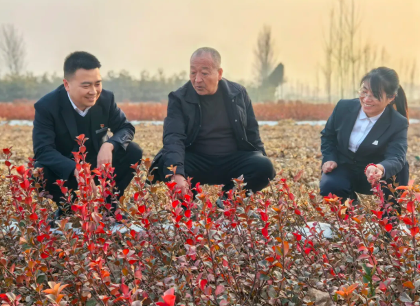 临汾洪洞农商银行：“三抓实”聚力开门红  各项存款劲增