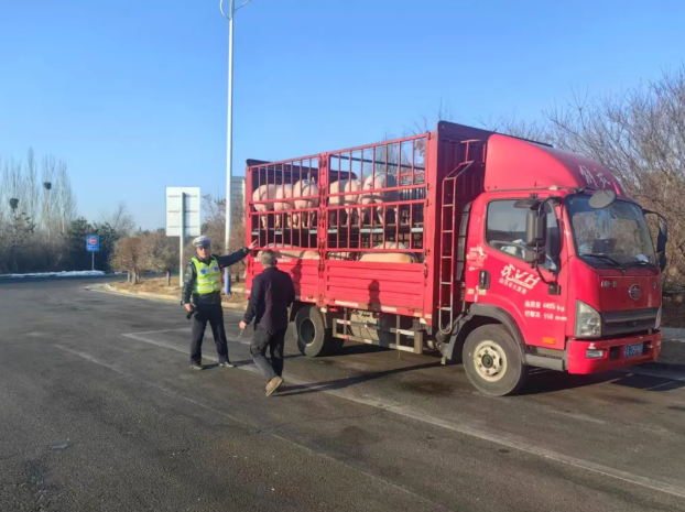 货车运猪未防护  山西高速交警及时除隐患
